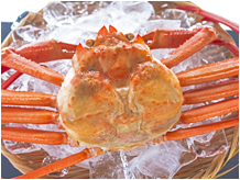 about_crab_11